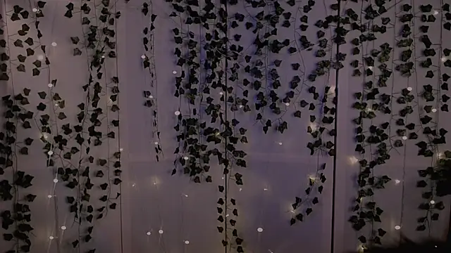 Snapshot of risha_laas chatting on September 26, 8:16 pm risha laas online show from September 26, 8:16 pm