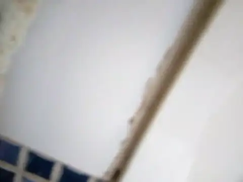 ValentinoRollstars online show from March 25, 3:00 pm