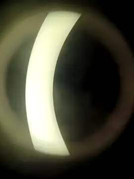 HotWifeNisha online show from December 21, 8:54 pm