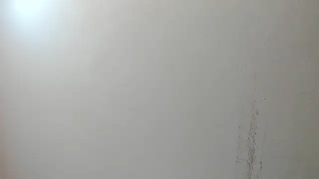 sarita loven online show from July 17, 5:04 am