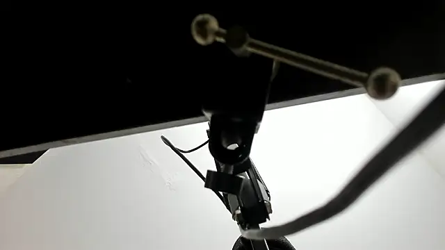 Snapshot of sarita_loven chatting on February 20, 4:42 am sarita loven online show from February 20, 4:42 am