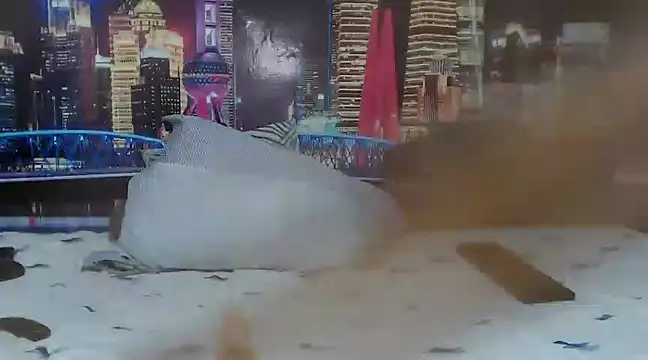 Snapshot of Sara_castillo1 chatting on March 7, 11:51 am Sara castillo1 online show from March 7, 11:51 am