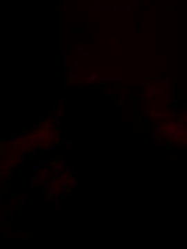 Tomtric online show from February 10, 8:24 am