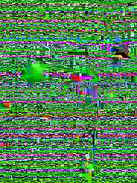 Snapshot of eva_six chatting on December 20, 6:45 pm eva six online show from December 20, 6:45 pm