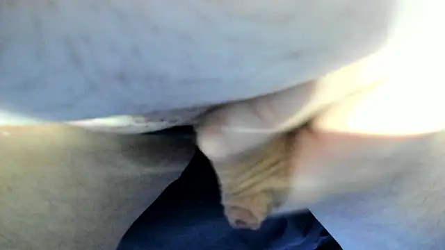 Big Andiy online show from September 12, 2:34 am