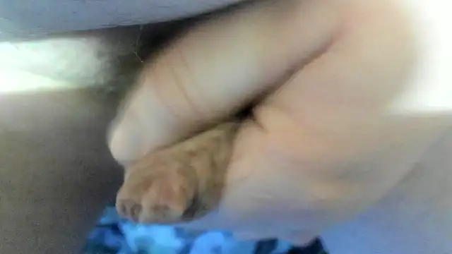 Big Andiy online show from November 21, 6:12 am