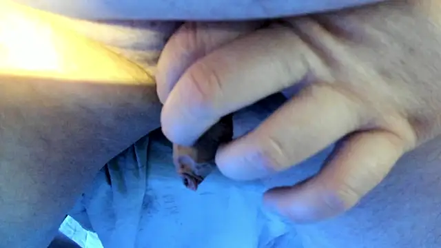 Big Andiy online show from October 24, 10:14 am