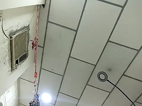 Snapshot of DanelyLopez chatting on February 2, 2:43 am DanelyLopez online show from February 2, 2:43 am