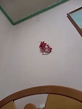 HAIRY PUSSY BIG online show from March 11, 2:49 am