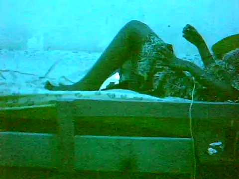 De maskedcouple online show from January 11, 10:29 pm