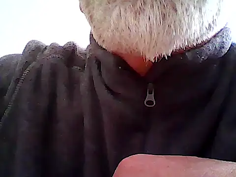 xcimeru online show from March 12, 2:34 pm