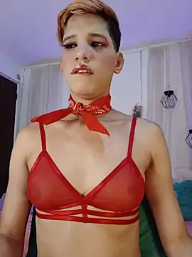 Snapshot of Ariel_Femboy_ chatting on July 22, 12:23 am Ariel Femboy online show from July 22, 12:23 am