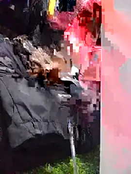 Hailey BaileyXYZ online show from April 15, 1:37 pm