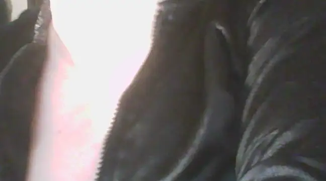 Snapshot of deluxpussy chatting on March 19, 6:23 pm deluxpussy online show from March 19, 6:23 pm