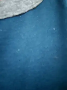 Bangalorebull online show from October 17, 3:21 am