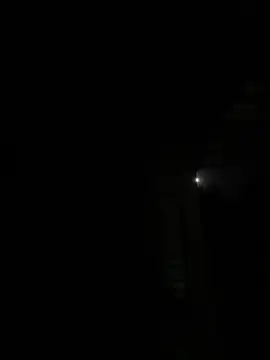 Toyjungee online show from October 4, 7:26 pm