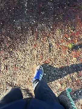 Mrbighardcock online show from January 14, 10:19 am