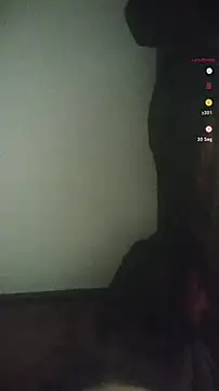 Snapshot of Victor-and-shelly chatting on December 9, 11:13 pm Victor-and-shelly online show from December 9, 11:13 pm