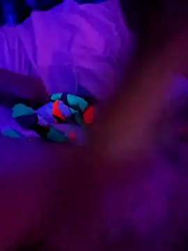 Snapshot of cammyquart chatting on November 2, 10:09 am cammyquart online show from November 2, 10:09 am