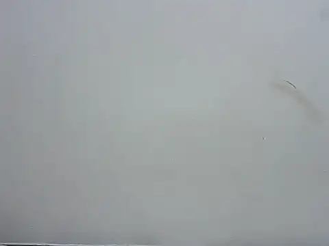 Snapshot of prettybeee chatting on November 4, 9:40 pm prettybeee online show from November 4, 9:40 pm