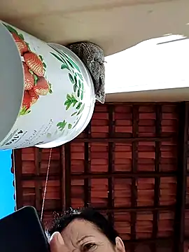Snapshot of mariy522 chatting on May 12, 11:49 am mariy522 online show from May 12, 11:49 am