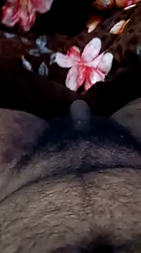 Snapshot of Naughtyforpussy chatting on February 1, 11:27 pm Naughtyforpussy online show from February 1, 11:27 pm
