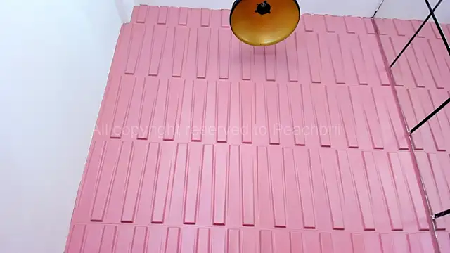 Briana Wells  online show from October 6, 1:34 pm