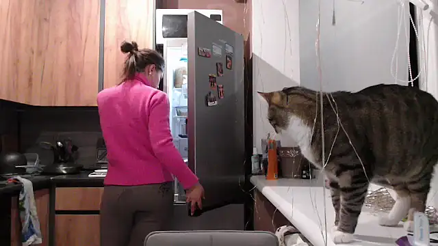 delightful sofi online show from January 6, 2:54 pm