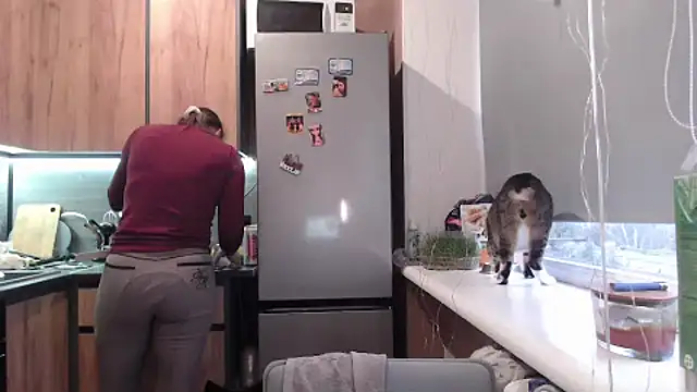 delightful sofi online show from March 24, 3:23 pm