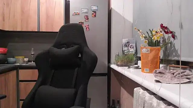 delightful sofi online show from April 19, 5:47 pm