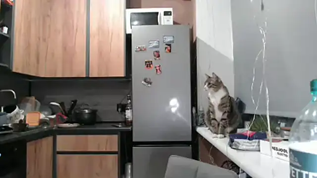 delightful sofi online show from March 21, 6:45 pm