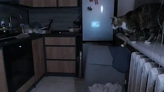 delightful sofi online show from March 17, 8:56 pm