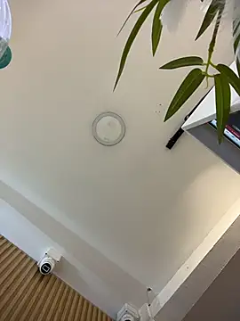 clarachanelricek online show from March 9, 8:23 pm