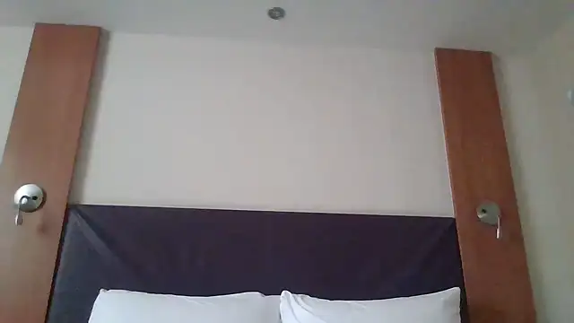 Snapshot of Allys chatting on February 14, 11:53 am Allys online show from February 14, 11:53 am
