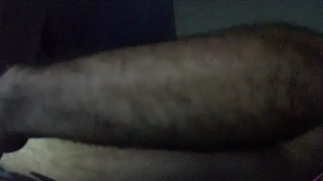 Snapshot of crazyslapper chatting on February 4, 10:54 am crazyslapper online show from February 4, 10:54 am