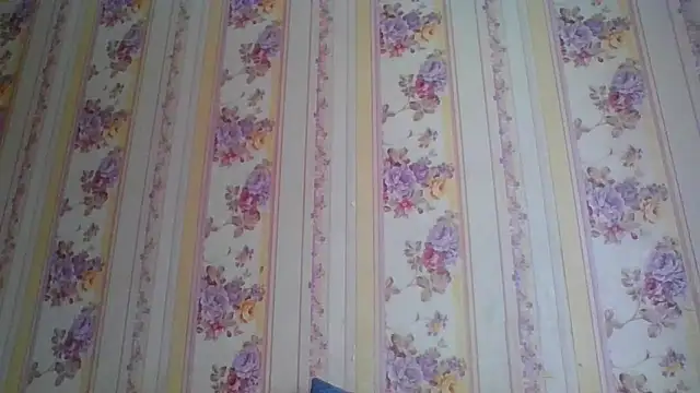 Skills  online show from December 5, 5:21 am