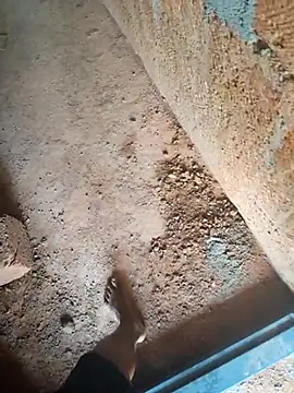 Mallupaiyanaachu online show from February 3, 5:05 am