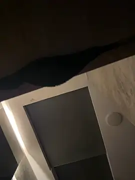 CeliWoods online show from September 20, 10:09 am