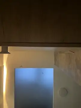 CeliWoods online show from November 30, 10:49 am