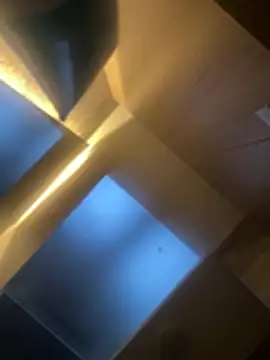 CeliWoods online show from February 6, 11:17 am