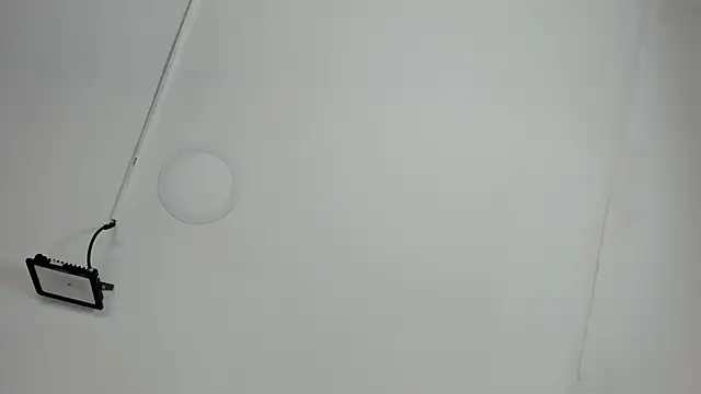 CeliWoods online show from October 12, 11:22 am