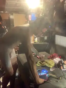 Snapshot of Likewise chatting on February 4, 4:46 pm Likewise online show from February 4, 4:46 pm