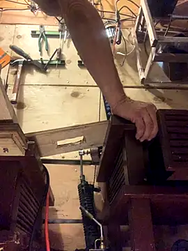 Likewise online show from October 31, 12:13 pm