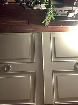 Snapshot of Likewise chatting on February 3, 1:38 pm Likewise online show from February 3, 1:38 pm