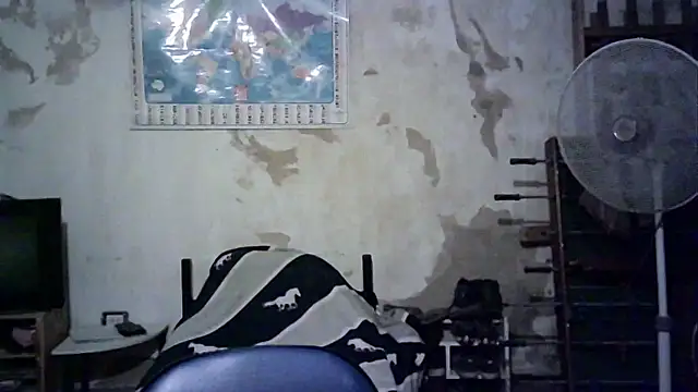 Emv2 online show from November 26, 4:56 am