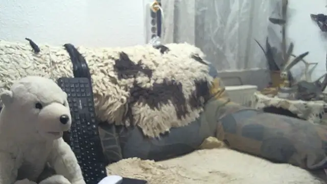 SexySantaC online show from December 16, 9:08 pm