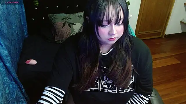 litlle cat online show from November 28, 5:40 am