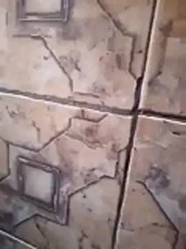 121fff online show from November 14, 11:58 am