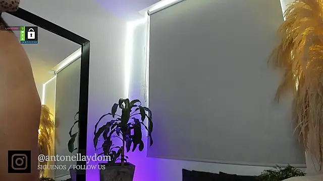 antonella dom1 online show from January 7, 6:24 pm