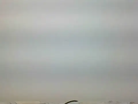 Snapshot of bigdickfuckuu chatting on September 22, 12:44 pm bigdickfuckuu online show from September 22, 12:44 pm